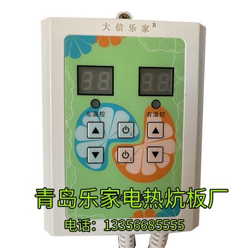 双温静音温控器DX-16生产公司